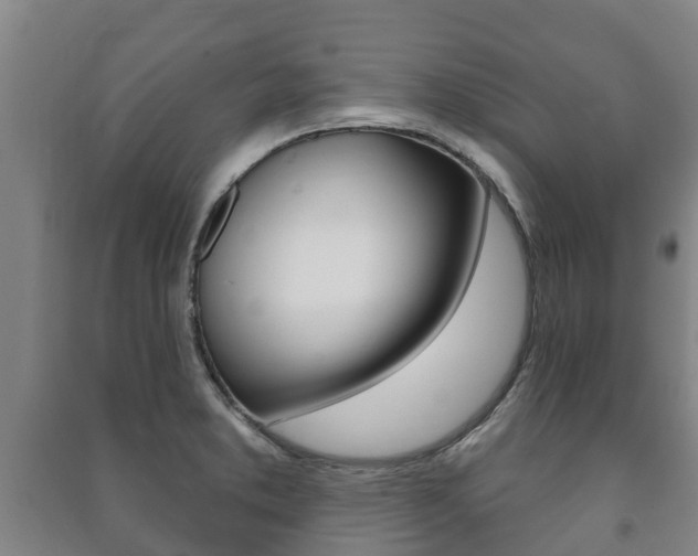 X0000091461373200708161058