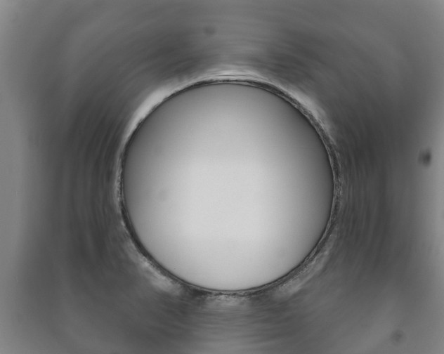 X0000091461374200708161058