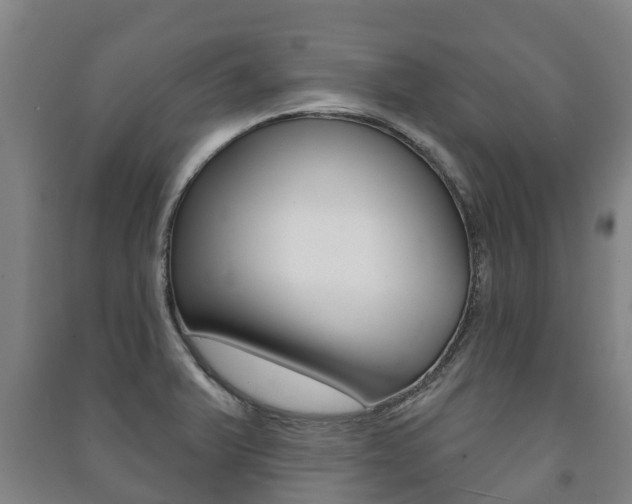 X0000091461375200708161058