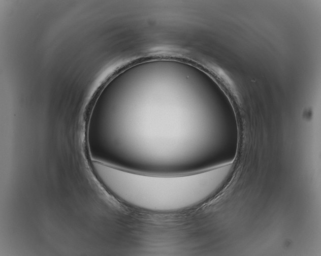 X0000091461376200708161058