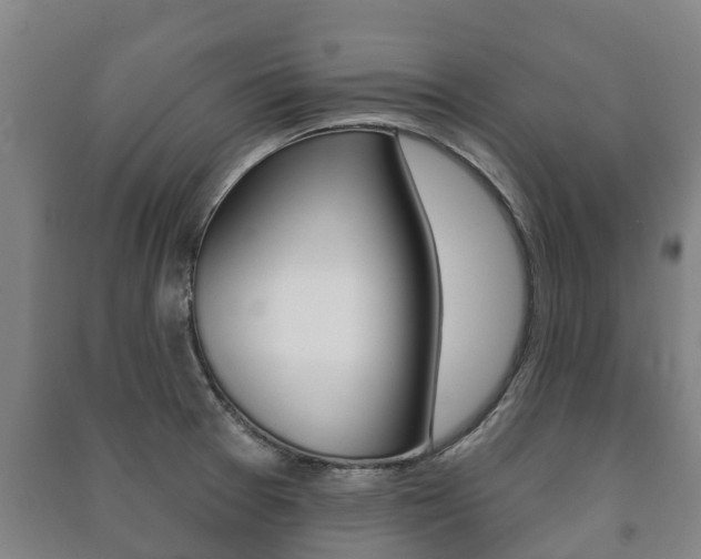 X0000091461377200708161058