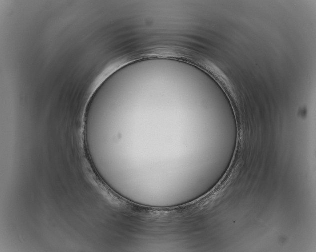 X0000091461378200708161058