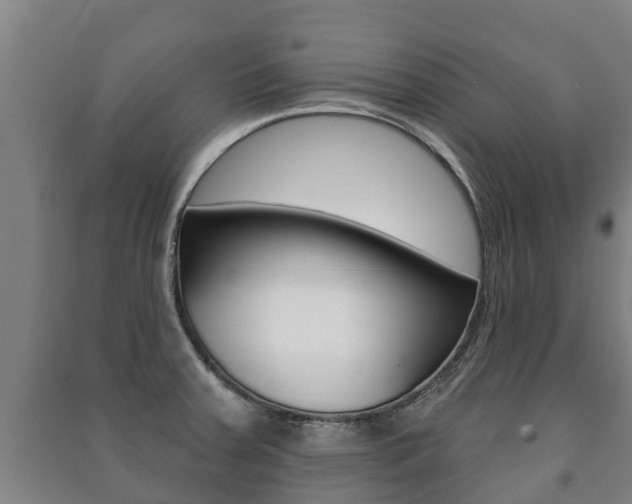 X0000091461379200708161058