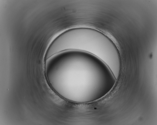 X0000091461380200708161058