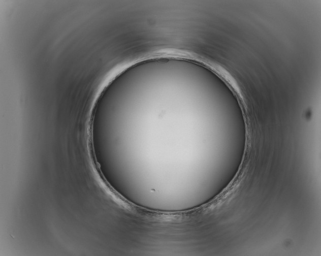 X0000091461381200708161058