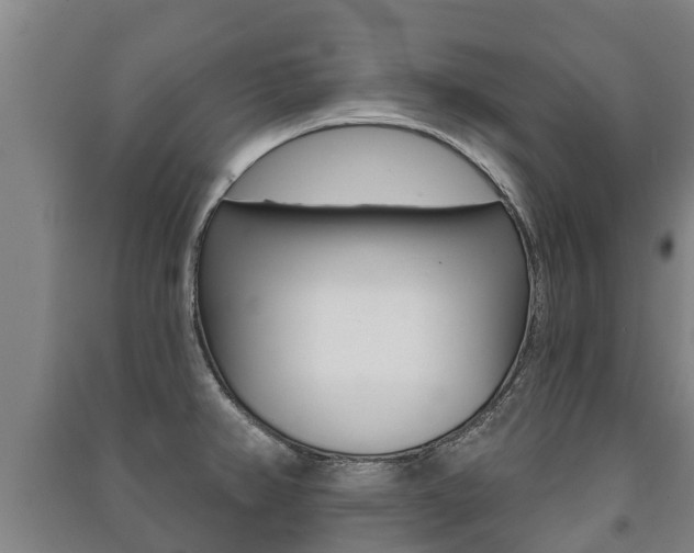 X0000091461382200708161058