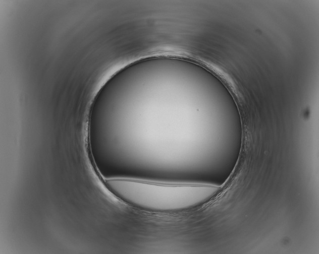X0000091461383200708161058