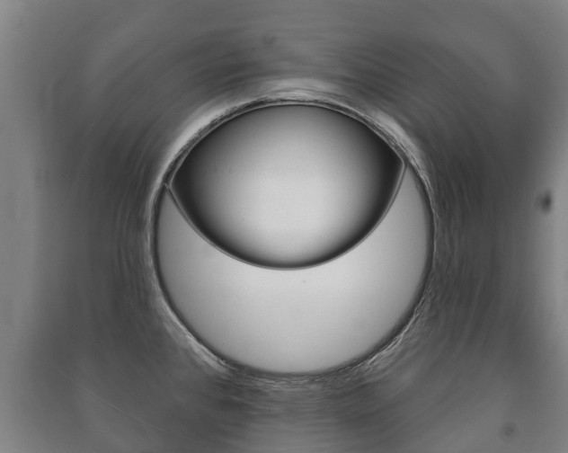 X0000091461384200708161058