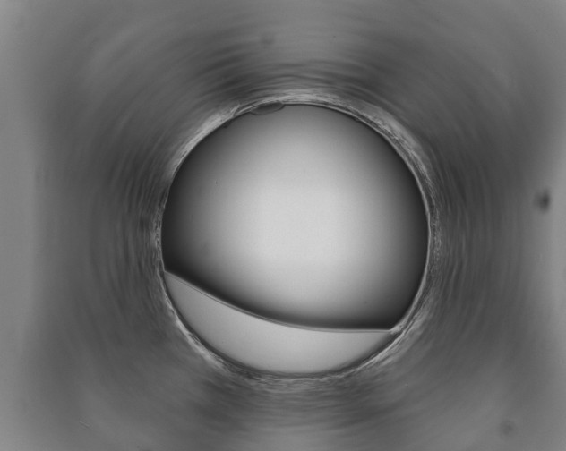 X0000091461385200708161058