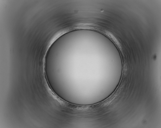 X0000091461386200708161058