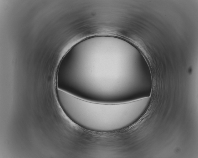 X0000091461387200708161058