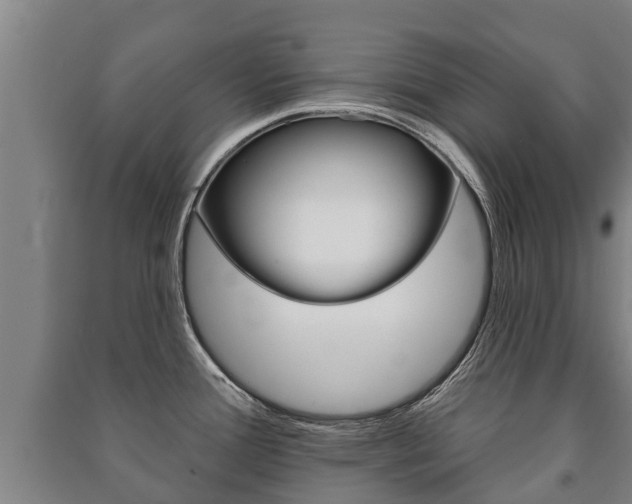 X0000091461388200708161058