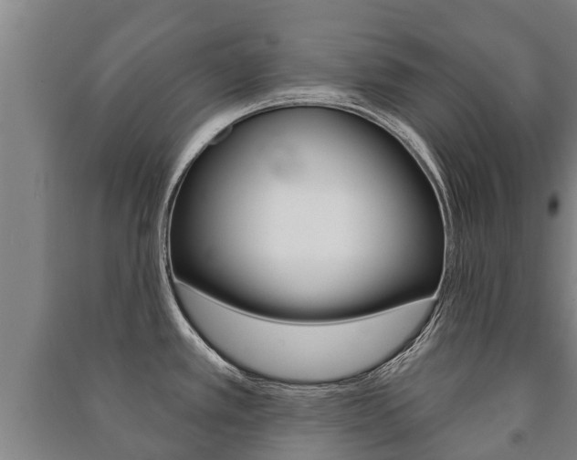 X0000091461389200708161058