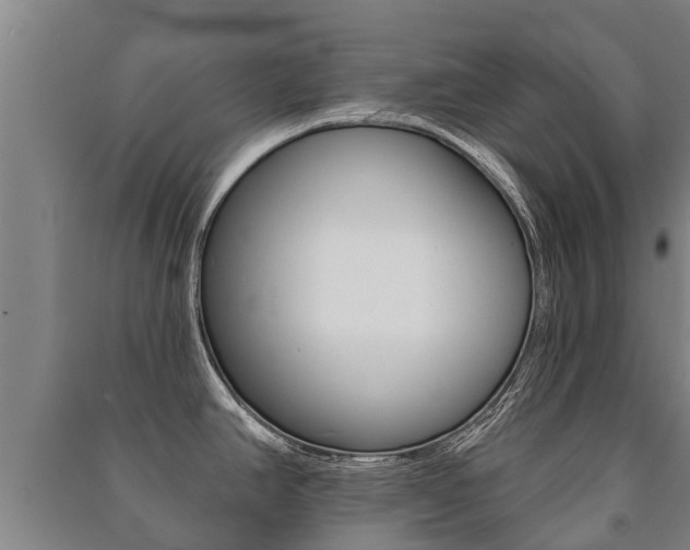 X0000091461390200708161058