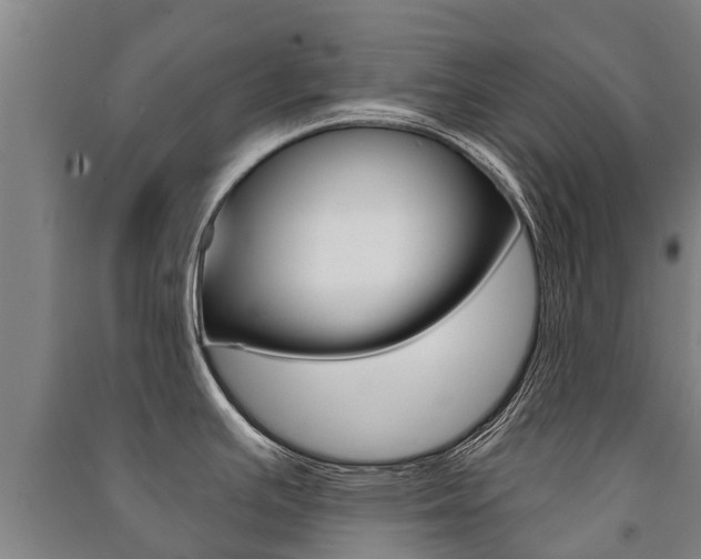 X0000091461391200708161058