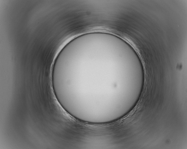 X0000091461392200708161058
