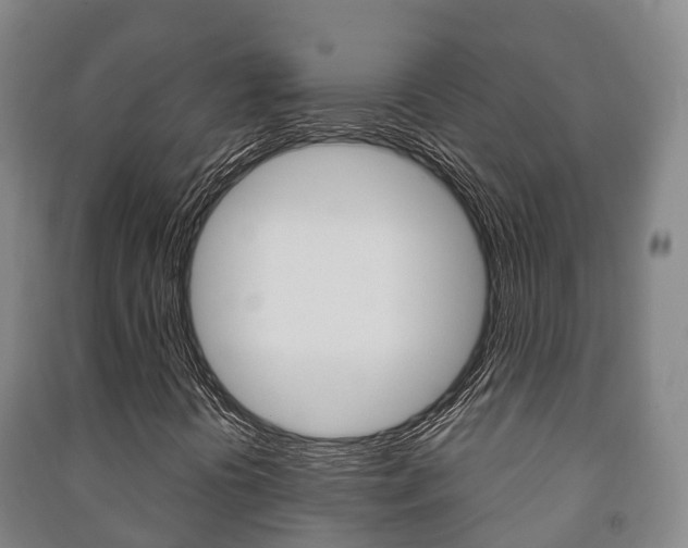 X0000091461394200708161058