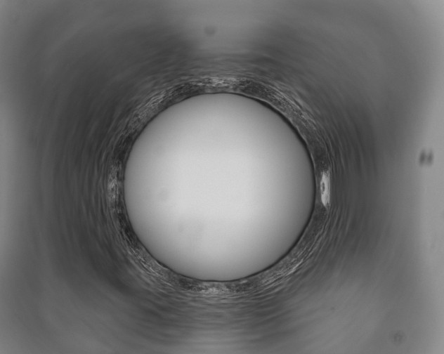 X0000091461395200708161058