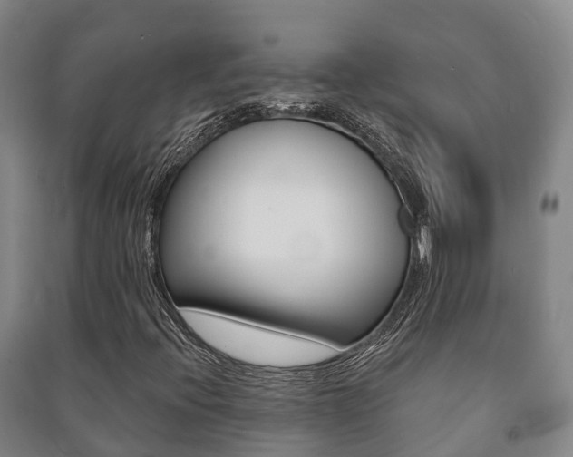 X0000091461396200708161058