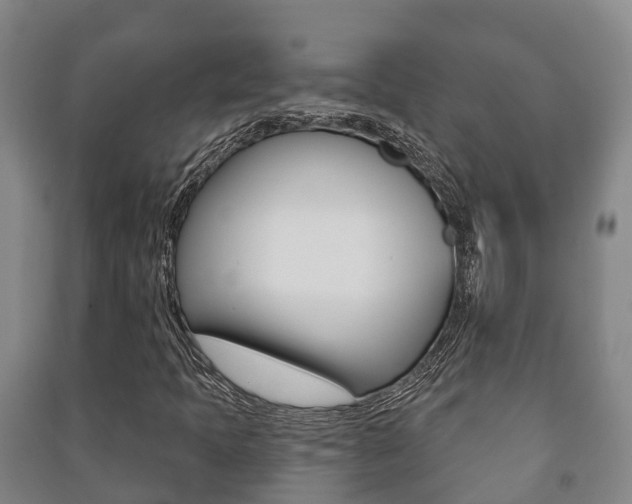 X0000091461397200708161058