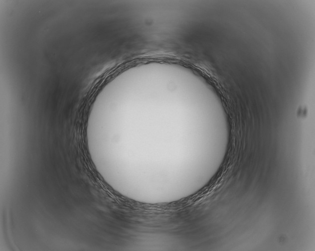 X0000091461398200708161058