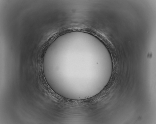 X0000091461399200708161058