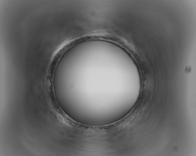 X0000091461400200708161058
