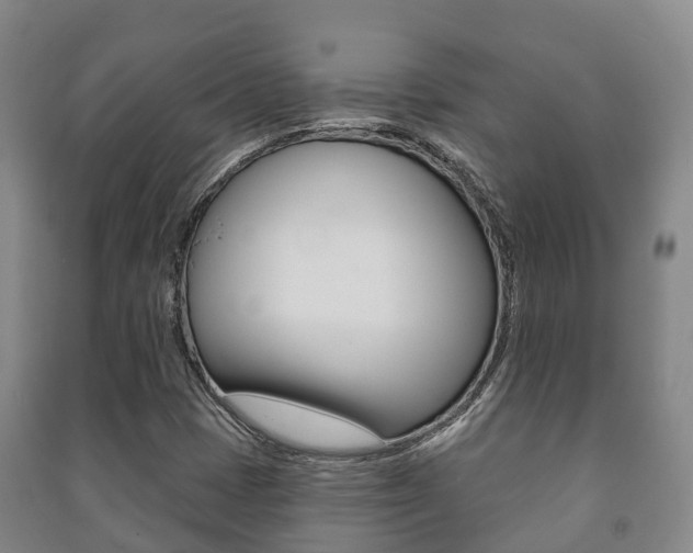 X0000091461401200708161058
