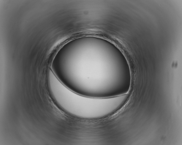 X0000091461402200708161058