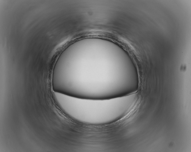 X0000091461403200708161058