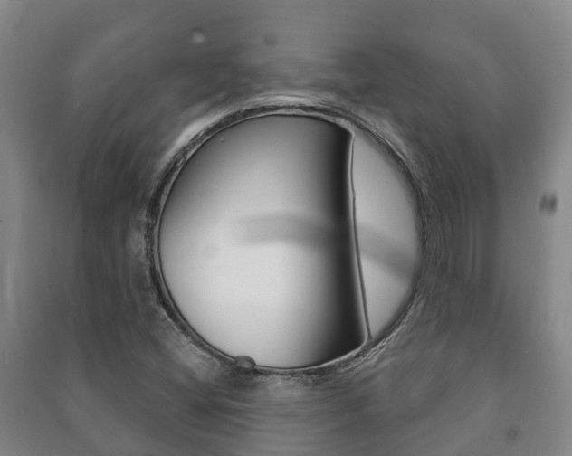 X0000091461404200708161058