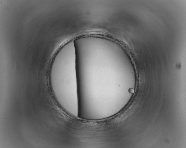 X0000091461405200708161058