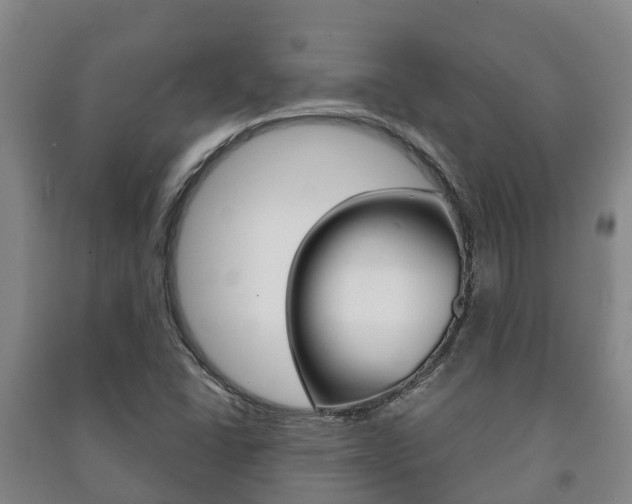 X0000091461406200708161058