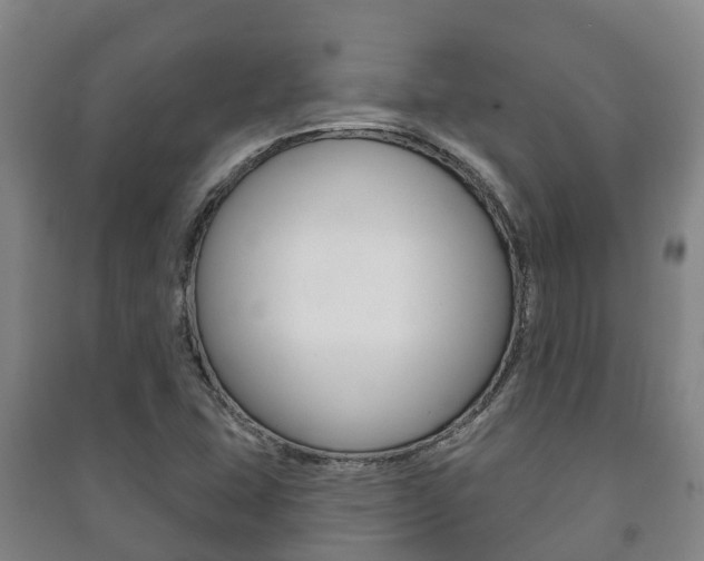 X0000091461407200708161058