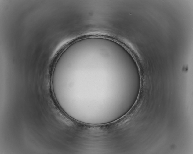 X0000091461408200708161058