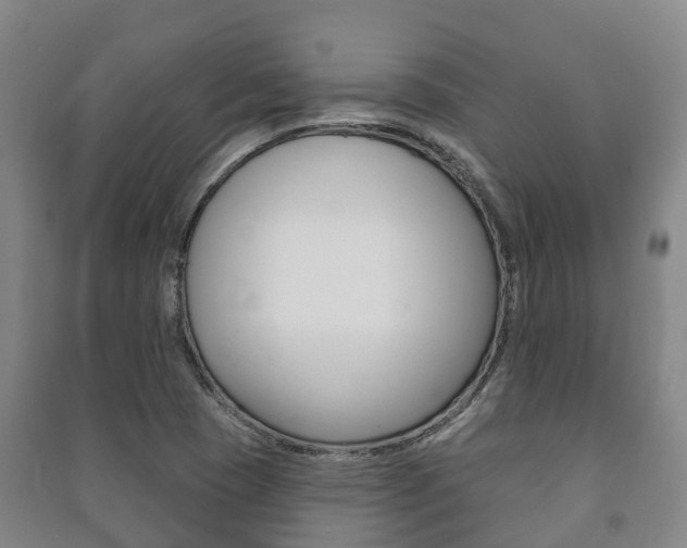X0000091461409200708161058