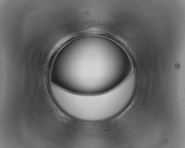 X0000091461410200708161058