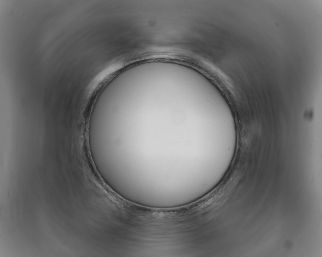 X0000091461411200708161058