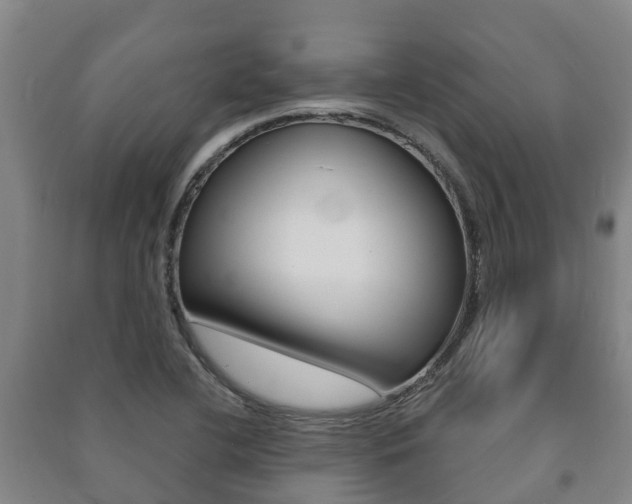 X0000091461412200708161058