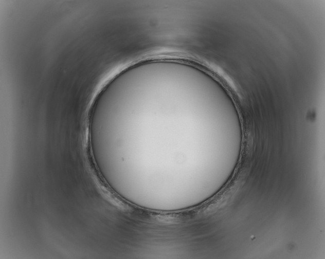 X0000091461413200708161058