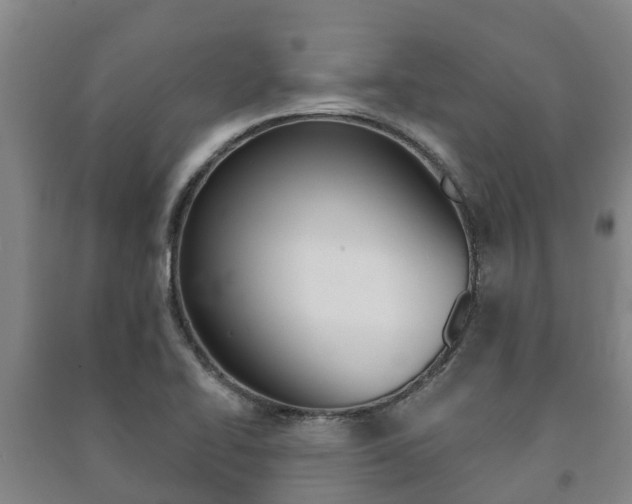 X0000091461414200708161058