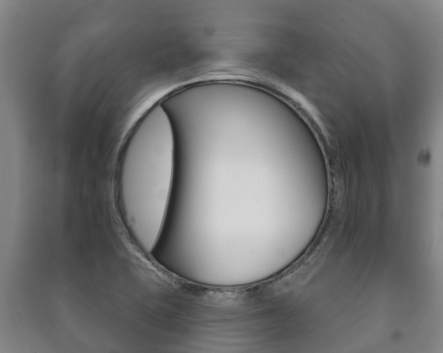 X0000091461415200708161058