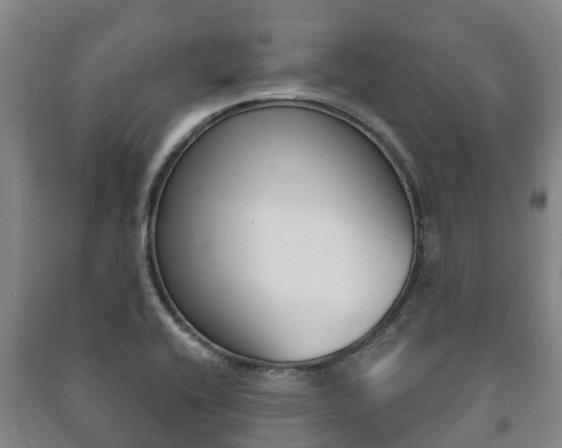 X0000091461416200708161058