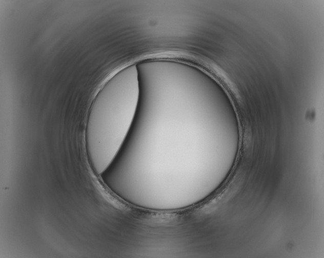 X0000091461417200708161058