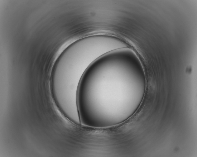 X0000091461418200708161058