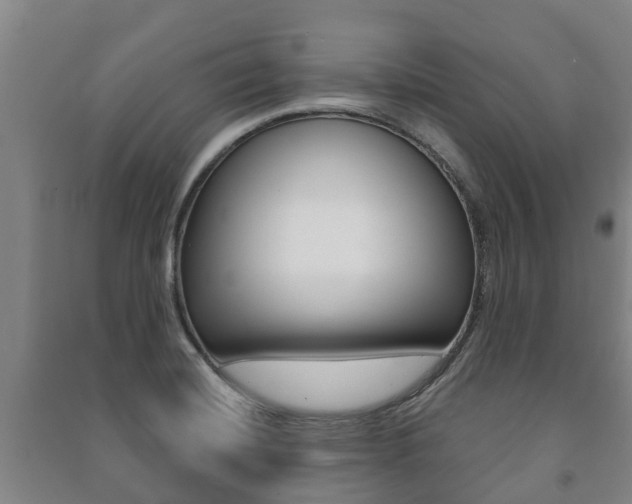 X0000091461420200708161058