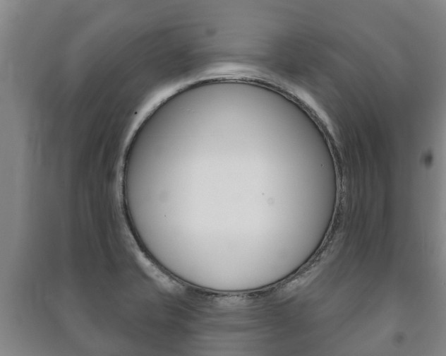 X0000091461421200708161058