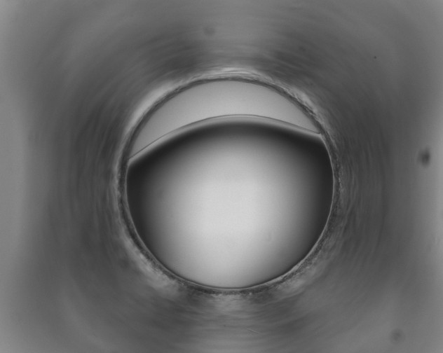 X0000091461422200708161058