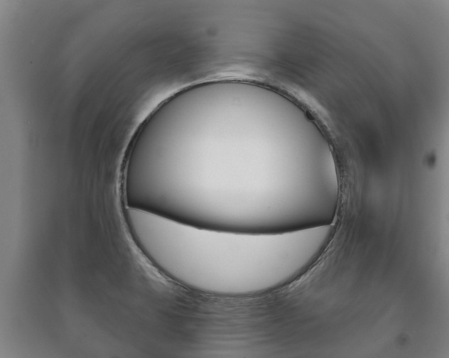 X0000091461423200708161058