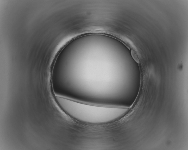 X0000091461424200708161058
